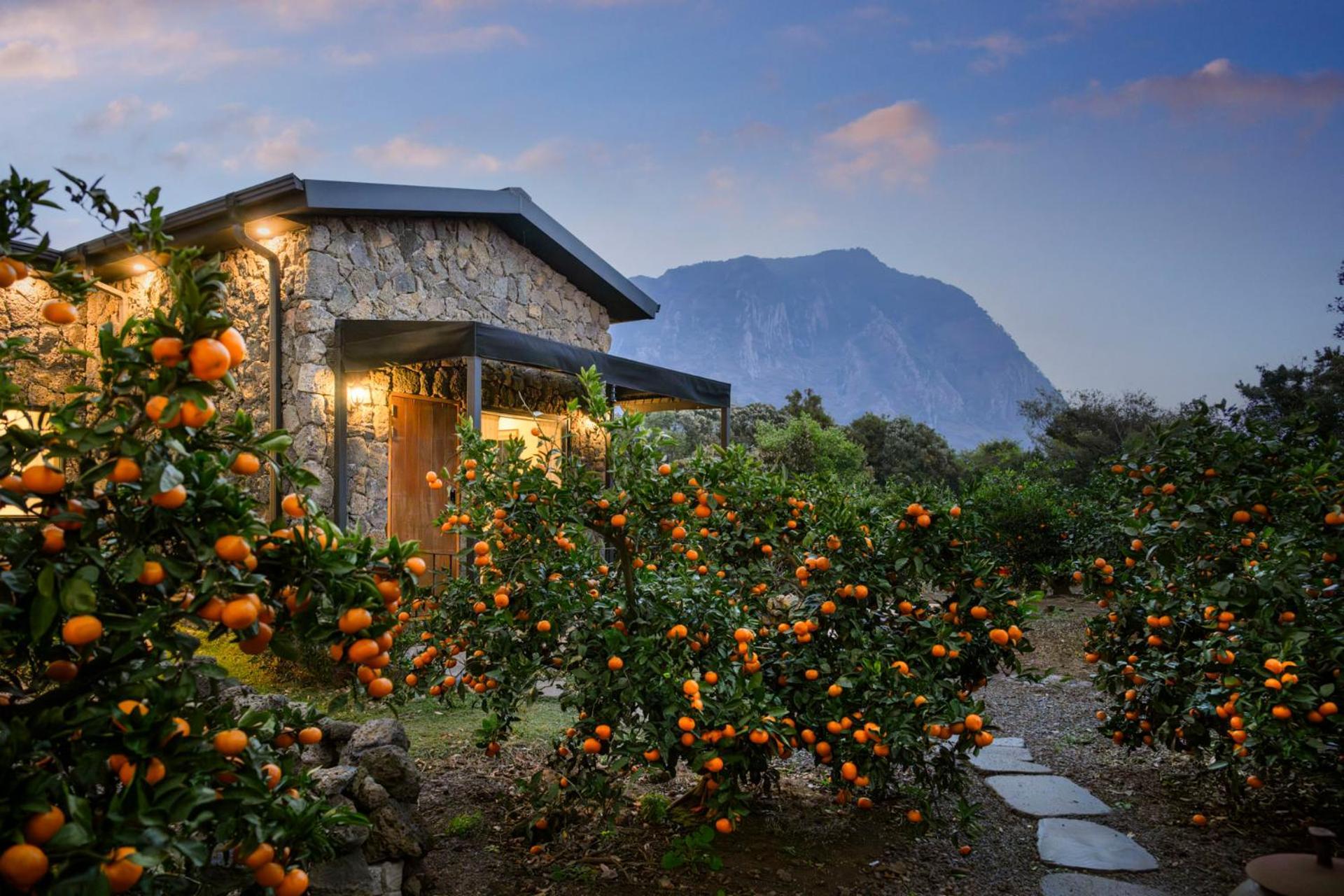 Villa Wol Yeong Sa Gye Seogwipo Exterior foto